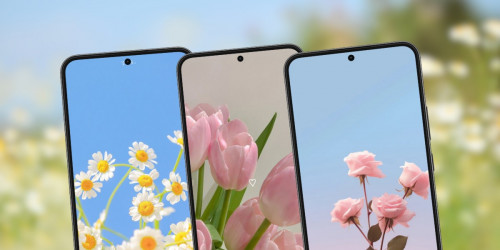 Top hình nền hoa đẹp, chất lượng cao cho điện thoại, máy tính