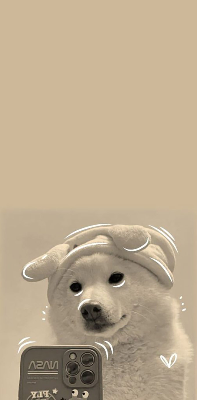 Hình nền iPhone 12 Pro Max thú cưng đẹp, siêu dễ thương