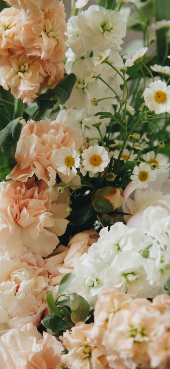 Hình nền iPhone 17 chủ đề hoa