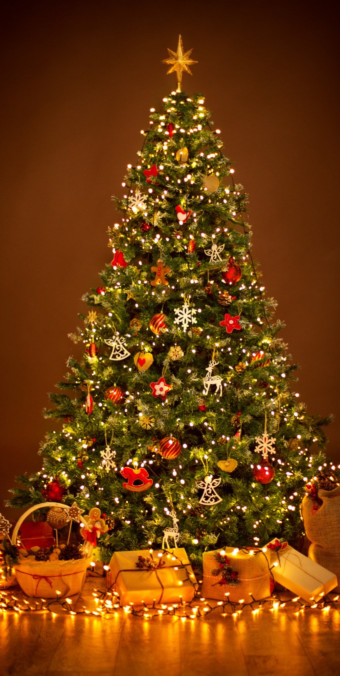 Hình nền Giáng sinh cây thông Noel