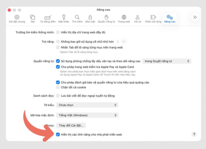 Tích chọn mục Hiển thị tính năng cho nhà phát triển web