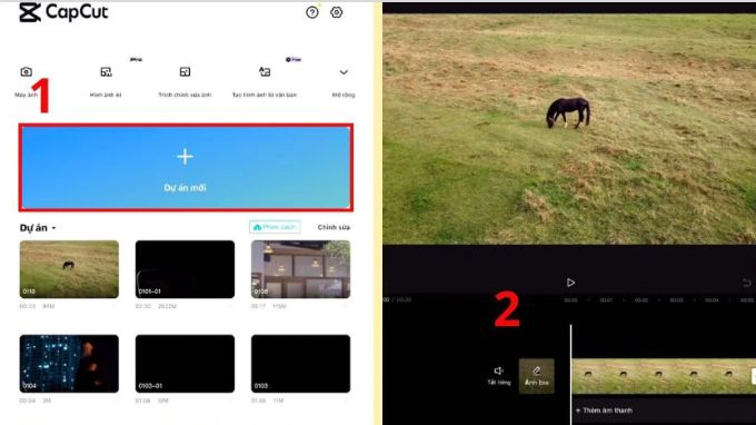 Xóa vật thể trong video bằng CapCut trên điện thoại