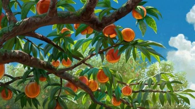 Hình nền máy tính trái cây siêu đáng yêu