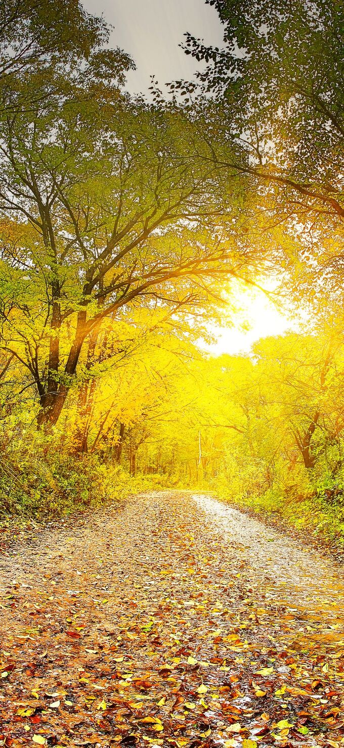 Hình nền Xiaomi 17 Ultra chủ đề Thiên nhiên