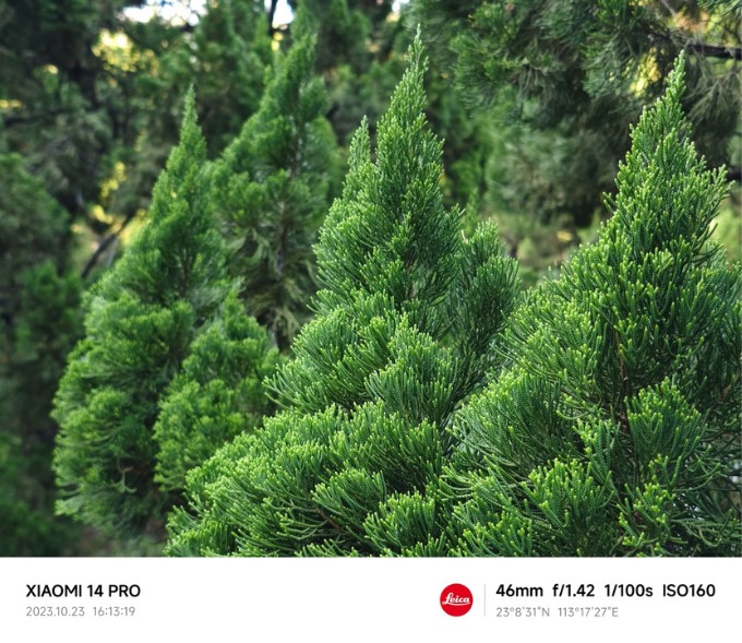 Ảnh chụp trong điều kiện đủ sáng của Xiaomi 14 Pro