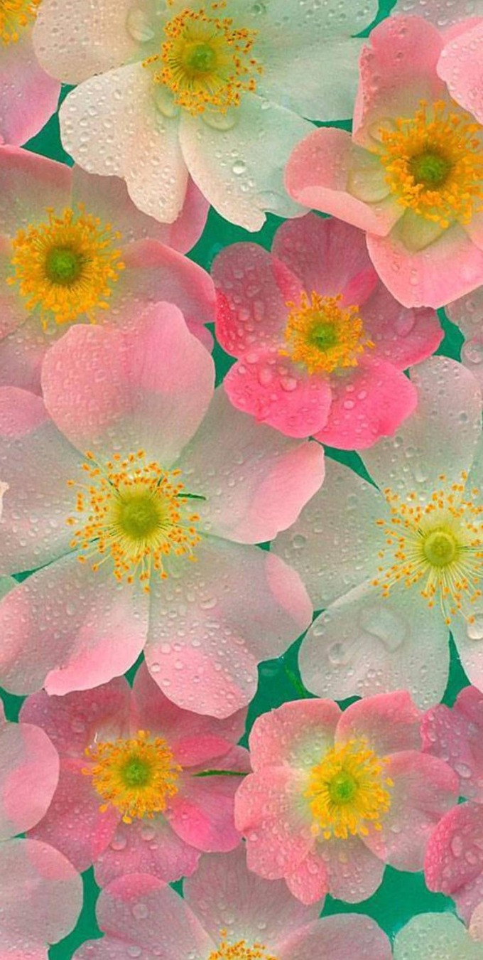 Hình nền Samsung Galaxy Note Series Full HD