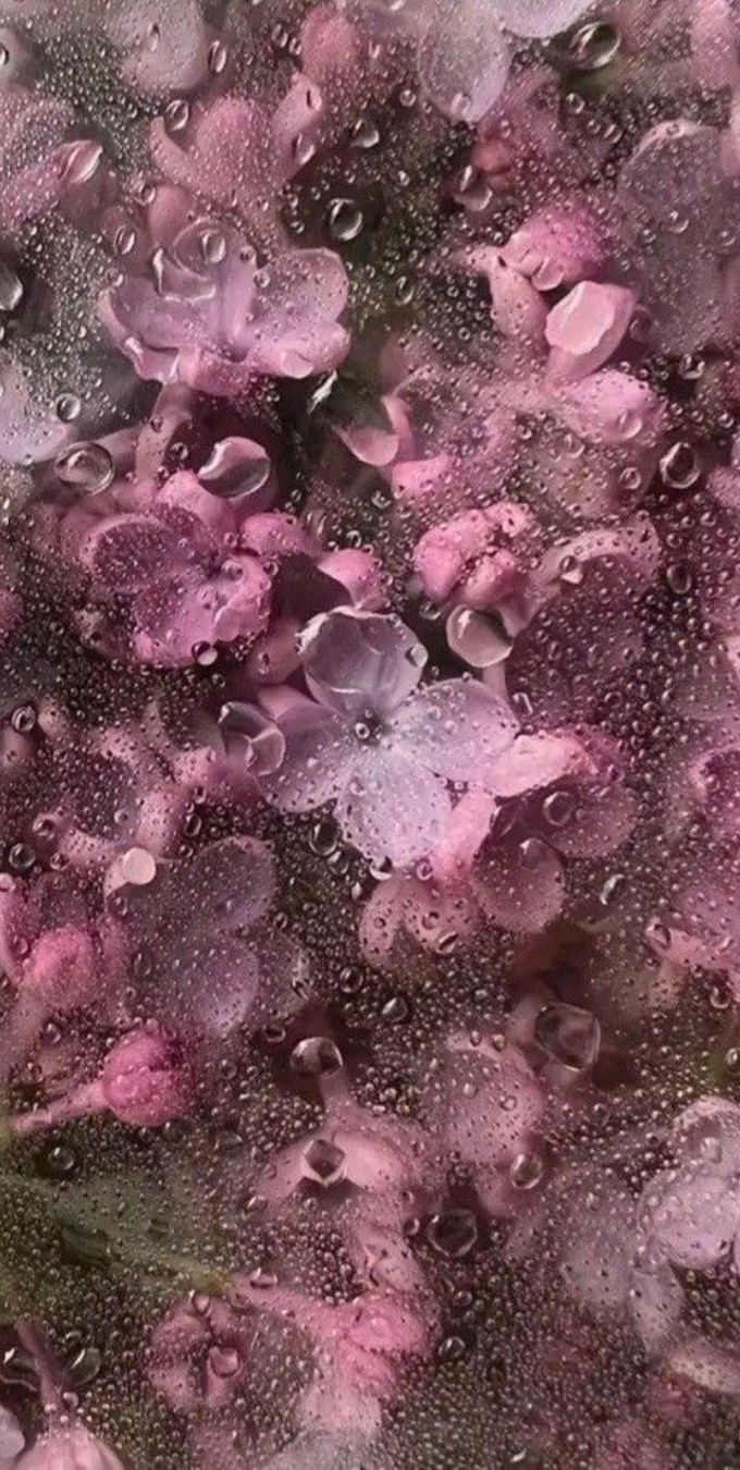 Hình nền Samsung Galaxy S Series cực đẹp