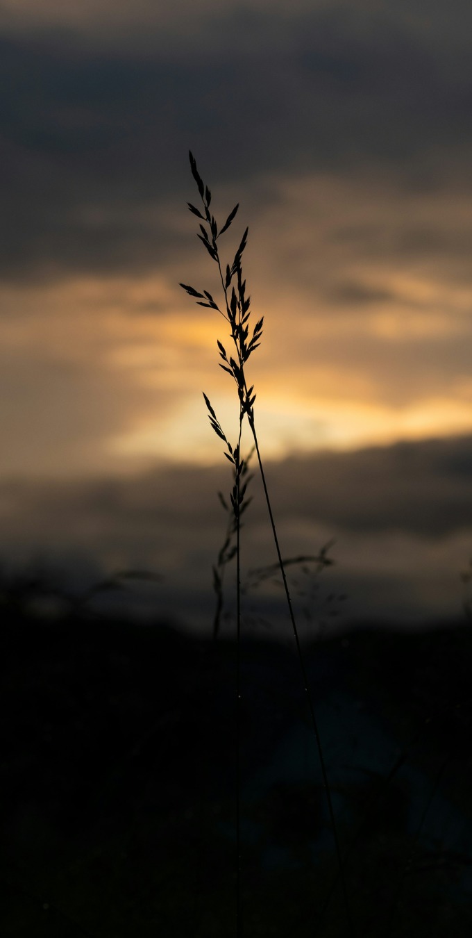 Hình nền Samsung Galaxy S Series 4K