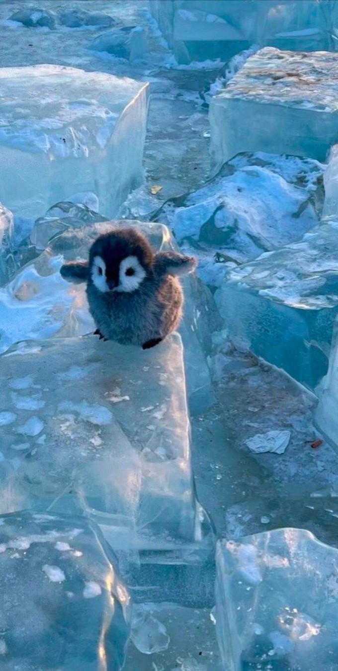 Hình nền Samsung Galaxy Z Fold đẹp nhất